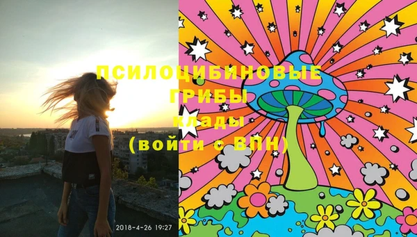 молекула духа Бикин