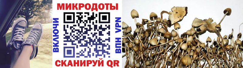 Галлюциногенные грибы Magic Shrooms Артёмовск